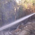 Muğla'da orman yangını