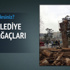 CHP'li belediye Sabancı Holding için asırlık ağaçları katletti