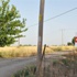 Adıyaman'da bir köyde kuduz karantinası Adıyaman'da bir köyde kuduz karantinası