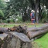 Meteorolojiden, Ege ve Akdeniz için tam fırtına uyarısı