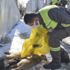Ankara'da 3 yavru köpek ölü bulundu