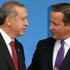 Cumhurbaşkan Erdoğan, Cameron ile görüştü