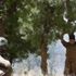PKK'da çözülme sürüyor! 2 terörist daha teslim oldu