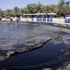 Atina sahilleri petrolle kaplandı Atina sahilleri petrolle kaplandı