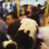 Metrobüse kurbanlık koçla bindi Metrobüse kurbanlık koçla bindi