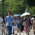 Japonya'da 38 derece sıcaklık can aldı: 7 ölü Japonya'da 38 derece sıcaklık can aldı: 7 ölü