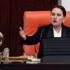 Meral Akşener’den ‘Türkeş’li çıkış