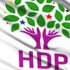 HDP'li eski vekil Mehmet Ali Aslan istifa etti