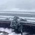 Rize kar yağışı altında yolda kalan aracı, trafik ...