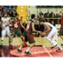 Türkiye Basketbol Ligi