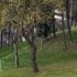 İstanbul’da dolu ve sulu kar sürprizi İstanbul’da dolu ve sulu kar sürprizi