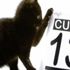 13. Cuma nedir, 13. Cuma ne zaman, 13. Cuma neden uğursuz kabul edilir? 13. Cuma nedir, 13. Cuma ne zaman, 13. Cuma neden uğursuz kabul edilir?