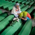 Srebrenitsa davasında mahkumiyet kararı değişmedi