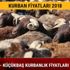 Kurban fiyatları 2018 Büyükbaş ve küçükbaş kurbanlık fiyatları ne kadar kilosu kaç Diyanet açıklaması