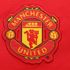 Manchester United gelirlerini artırdı