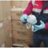 İstanbul'da milyonluk filtreli maske operasyonu İstanbul'da milyonluk filtreli maske operasyonu