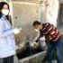 Şebeke sularından alınan numuneler laboratuvara gönderildi