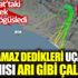 ﻿Uçamaz dedikleri uçağın aynısı Manavgat’taki yangını tek başına göğüsledi