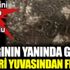 ﻿Yatağının yanında gördü gözleri yuvasından fırladı