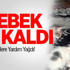 Bebek Aç Kaldı: Kedilere Yardım Yağdı!