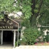 Atatürk'ün lokantası sahibini buldu Atatürk'ün lokantası sahibini buldu