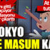 ﻿Pinokyo bile masum kaldı