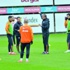 Aslan zorlu deplasmanda