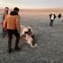 Köpekleri acımasızca dövüştürdüler. Konya'da skandal. Vicdansızlar Köpekleri acımasızca dövüştürdüler. Konya'da skandal. Vicdansızlar