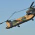 500'üncü Chinook yuvada 500'üncü Chinook yuvada