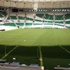 Timsah Arena'dan haber var