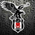 Kartal tur için uçtu!