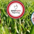 Trabzonspor ile Çaykur Rizespor, ligde 30. randevuda