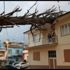 İzmir'de anıt ağaç evin çatısına devrildi