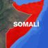 Somali'de askeri konvoya saldırı: 8 ölü Somali'de askeri konvoya saldırı: 8 ölü