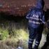 İmdatlarına AFAD yetişti. Şahin Tepesi'nde kayıp arkadaş böyle arandı İmdatlarına AFAD yetişti. Şahin Tepesi'nde kayıp arkadaş böyle arandı