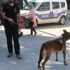 İstanbul'da 39 ilçede 2 bin 400 polisin katılımıyla Kurt Kapanı-21 uygulaması yapıldı