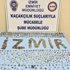 İzmir'de Tarihi Eser operasyonu