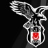 Kartal yarı finale uçtu