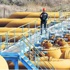 Kürt petrolünde tek rota Türkiye Kürt petrolünde tek rota Türkiye
