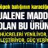 BU ÜRÜN; HÜCRELERİ YENİLİYOR, GENÇLEŞTİRİYOR, GÜÇ VERİYOR