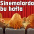 Bu hafta 8 yeni film sinemaseverlerle buluşacak Bu hafta 8 yeni film sinemaseverlerle buluşacak
