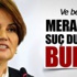 Meral Akşener suç duyurusunda bulundu
