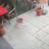 Otogar cinayetinde flaş gelişme!