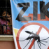 Çin'de Zika virüsü alarmı
