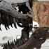 Japonya'da dünyanın en küçük dinozor yumurtası fosili bulundu