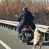 Köpeği motosiklete bağlayan adama para cezası Köpeği motosiklete bağlayan adama para cezası