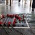 Hrant Dink'in katledilişinin 9. yılı...