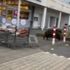 Domuz markete girdi polis direğe tırmandı Domuz markete girdi polis direğe tırmandı