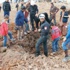 Foto Galeri: Kapı önünde bile saldırılar durmuyor