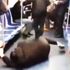 Metroda 'koronavirüs' paniği! Gözaltına alındı Metroda 'koronavirüs' paniği! Gözaltına alındı